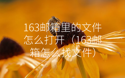 163邮箱里的文件怎么打开（163邮箱怎么找文件）