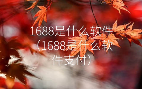 1688是什么软件（1688是什么软件支付）