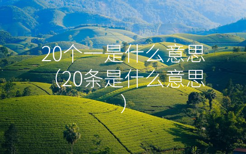 20个一是什么意思（20条是什么意思）