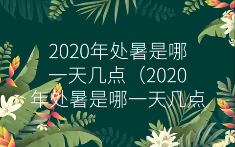 2020年处暑是哪一天几点（2020年处暑是哪一天几点几分）