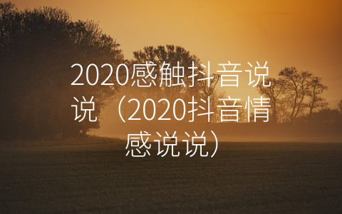 2020感触抖音说说（2020抖音情感说说）