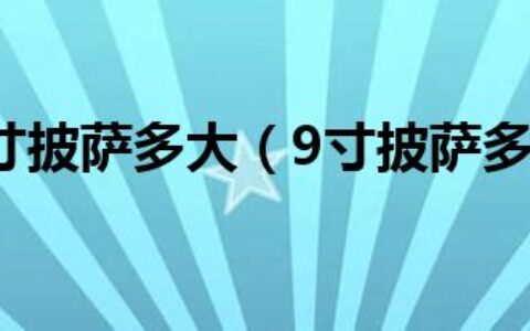 9寸9寸披萨多大（9寸披萨多大）