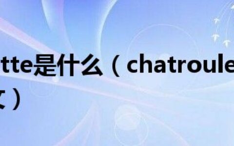 chatroulette是什么（chatroulette 怎么玩 看不懂英文）