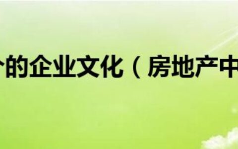 房地产中介的企业文化（房地产中介企业文化）