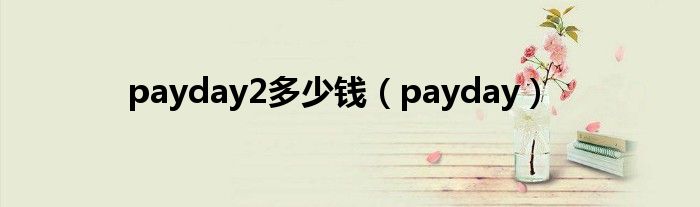 payday2多少钱（payday）