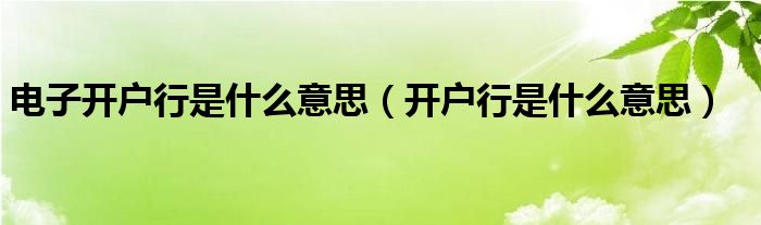 电子开户行是什么意思（开户行是什么意思）