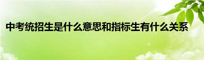 中考统招生是什么意思和指标生有什么关系