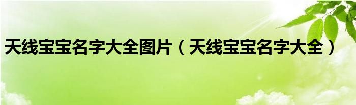 天线宝宝名字大全图片（天线宝宝名字大全）