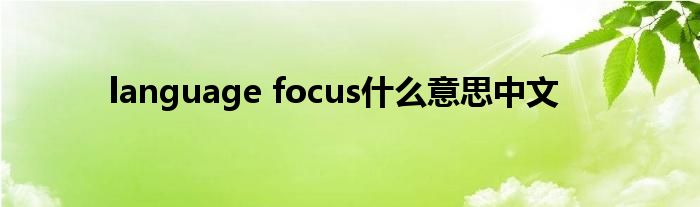 language focus什么意思中文