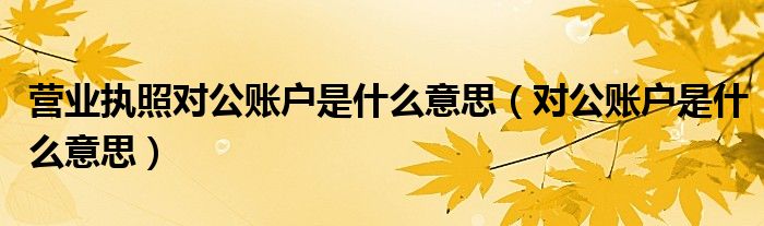 营业执照对公账户是什么意思（对公账户是什么意思）