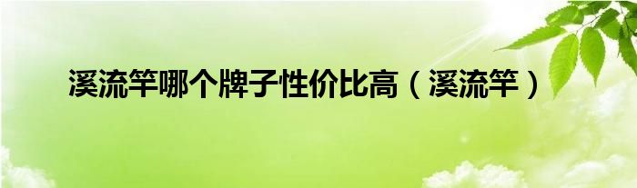 溪流竿哪个牌子性价比高（溪流竿）