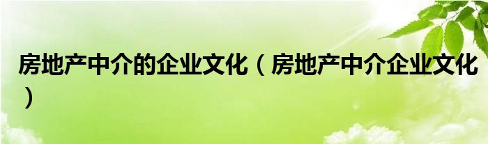 房地产中介的企业文化（房地产中介企业文化）