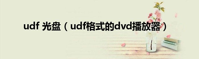 udf 光盘（udf格式的dvd播放器）