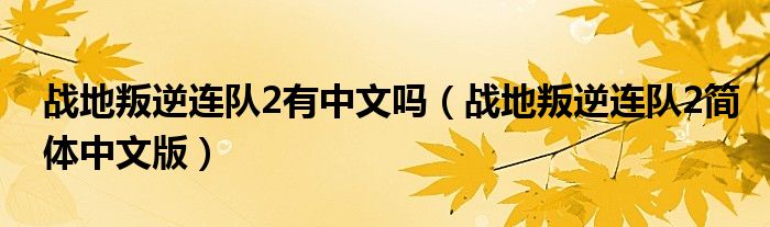 战地叛逆连队2有中文吗（战地叛逆连队2简体中文版）